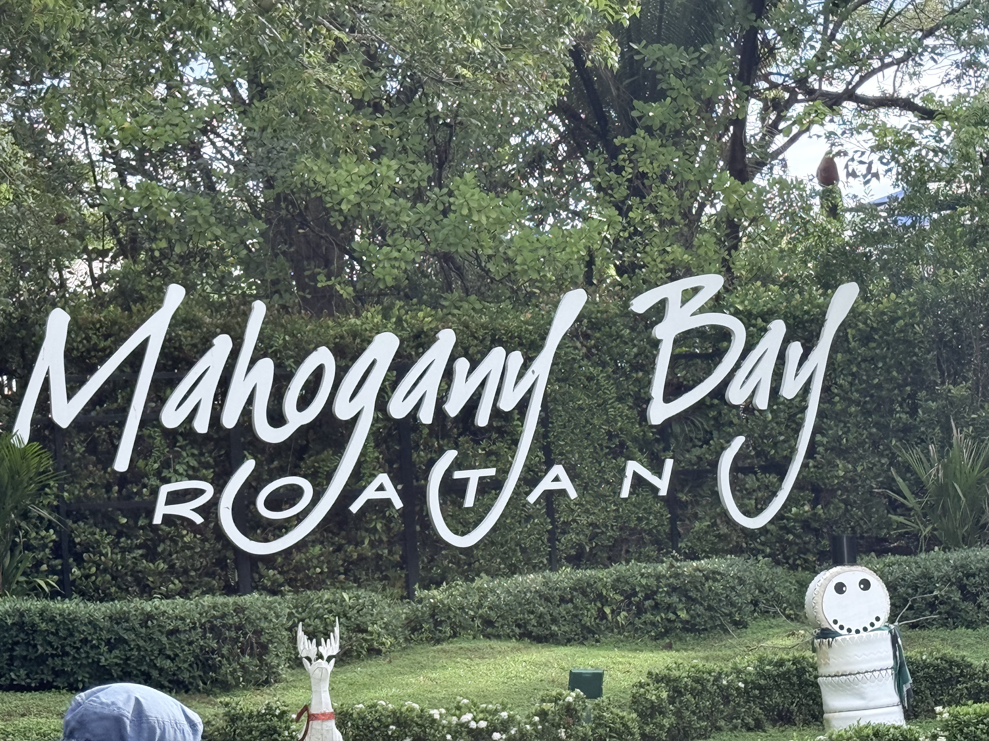 Cruise Brothers Travel Agent Tiffany Thorpe